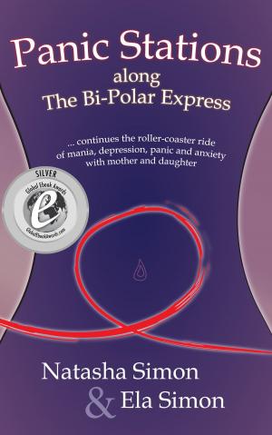 Cover of the book Panic Stations along the Bi-Polar Express by Paul Richards
