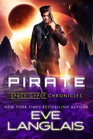 Cover of the book Pirate by P.J. Blakey-Novis