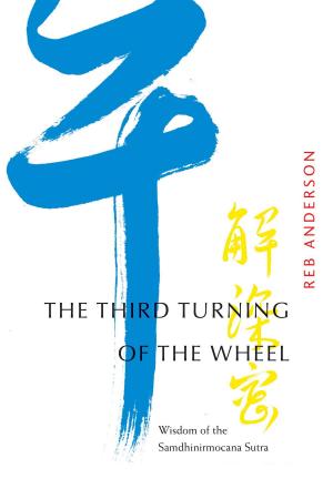Cover of the book The Third Turning of the Wheel by Richard Brown, Patricia Gerbarg