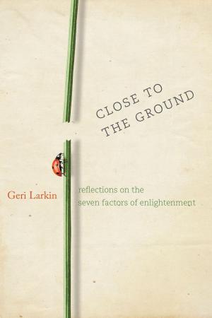 Cover of the book Close to the Ground by Ken Wilber