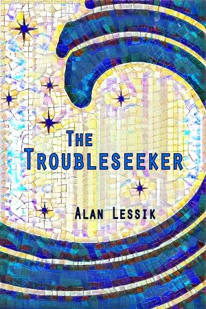 Cover of The Troubleseeker