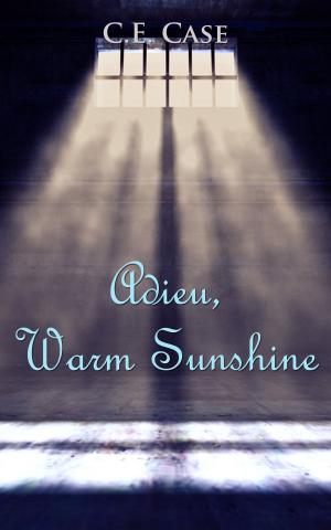Cover of the book Adieu Warm Sunshine by Zina Nova