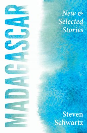 Cover of the book Madagascar: New and Selected Stories by MB Caschetta