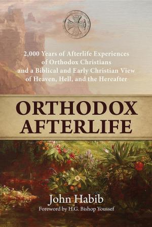 Cover of Orthodox Afterlife