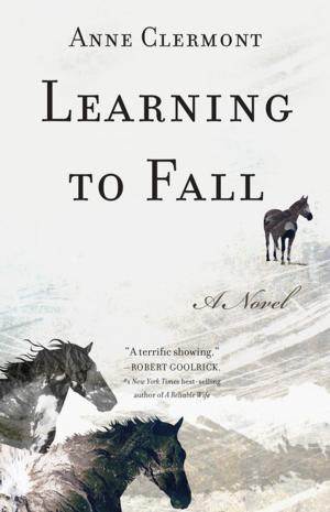 Cover of the book Learning to Fall by Julie Long