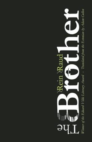 Cover of the book The Brother by Mathias Énard