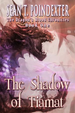 Cover of the book The Shadow of Tiamat by S.A. Larsen