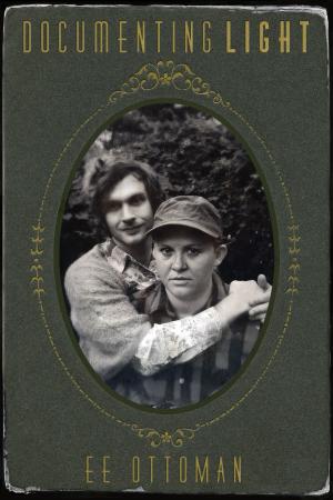 Cover of the book Documenting Light by V. S. McGrath