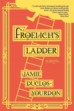Cover of the book Froelich's Ladder by Jennifer Bray-Weber