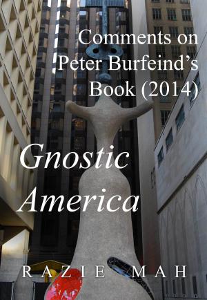 Cover of the book Comments on Peter Burfeind’s Book (2014) Gnostic America by Razie Mah