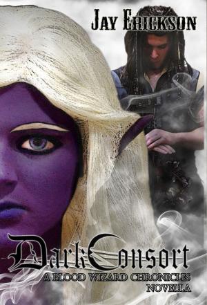 Cover of the book Dark Consort: A Blood Wizard Chronicles Novella by Linda Tiernan Kepner