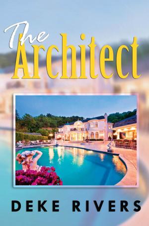 Book cover of The Architect