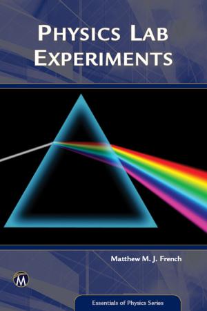 Cover of the book Physics Lab Experiments by Brad G. Berman