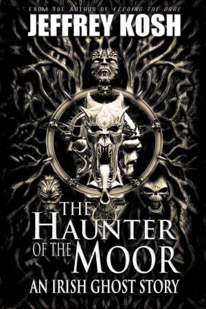 Book cover of The Haunter of the Moor: An Irish Ghost Story