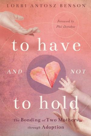 Cover of the book To Have and Not to Hold by Ben Bernstein