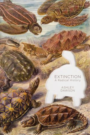 Cover of the book Extinction by Frida Berrigan