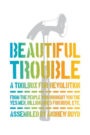 Cover of Beautiful Trouble