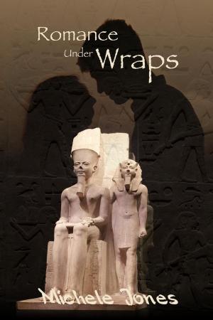 Cover of the book Romance Under Wraps by Dominique Luchart