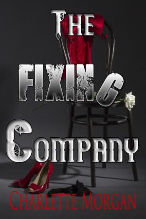 Cover of the book The Fixing Company by Graham da Ponté