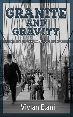 Cover of the book Granite and Gravity by Christian Frautschi