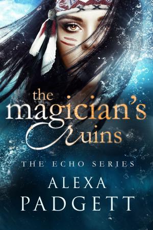 Book cover of The Magician's Ruins