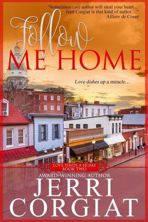 Cover of the book Follow Me Home by Meli Raine