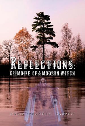 Cover of the book Reflections by Jill-Michele Lewis
