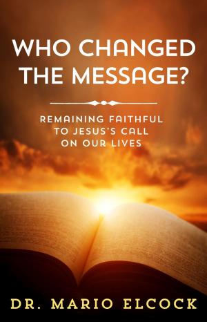 Cover of the book Who Changed the Message? Remaining Faithful to Jesus' Call on Our Lives by Lainey Hitchman, Roy Hitchman