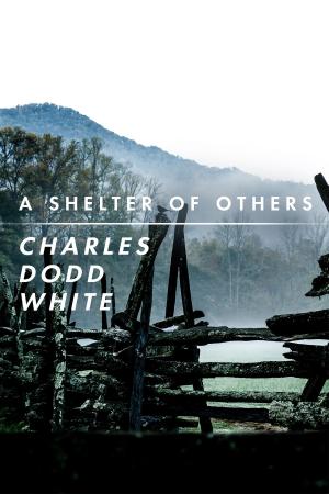 Cover of the book A Shelter of Others by Stephen Dixon