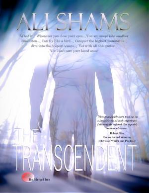 Cover of the book The Transcendent by GoMadKids, Patricia Sumner