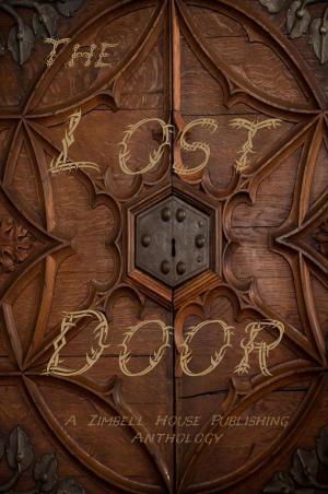 Book cover of The Lost Door