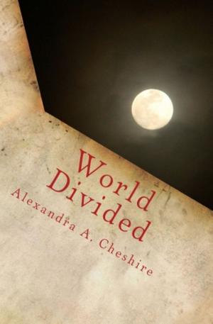 Cover of the book World Divided by Sarah Dahlmann