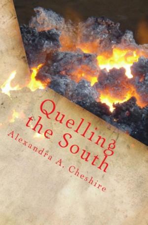 bigCover of the book Quelling the South by 