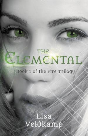 Cover of the book The Elemental by Erik Scott de Bie