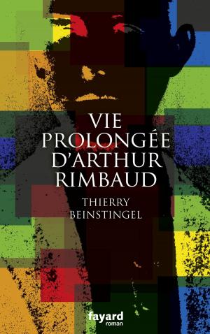 Cover of the book Vie prolongée d'Arthur Rimbaud by Thierry Colombié