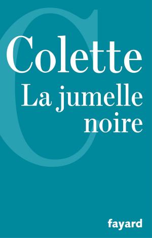 Cover of the book La Jumelle noire by Gilbert Schlogel