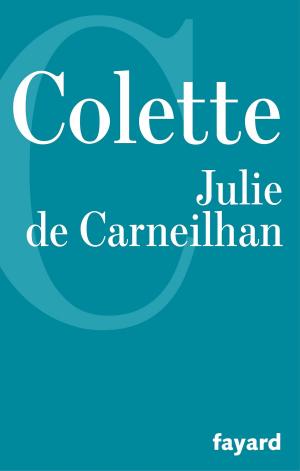 Cover of Julie de Carneilhan