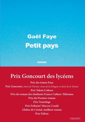 Cover of the book Petit pays by Hamed Abdel-Samad