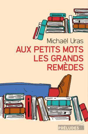 Cover of the book Aux petits mots les grands remèdes by Nicolas Delesalle