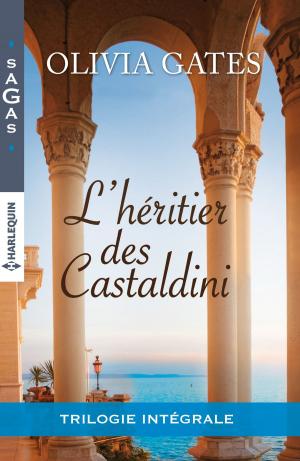 Cover of the book L'héritier des Castaldini by Angel Smits, Joan Kilby
