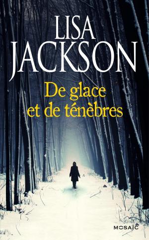Cover of the book De glace et de ténèbres by Martyn V. Halm