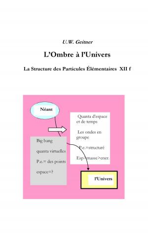 Cover of the book L'Ombre à l'Univers by Elke Weigel