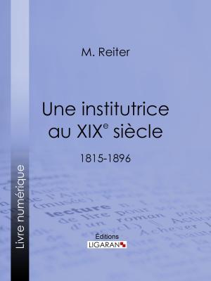 Cover of the book Une institutrice au XIXe siècle by Alphonse Daudet, Léon Hennique
