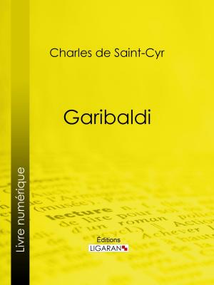 Cover of the book Garibaldi by John Michael McCarty
