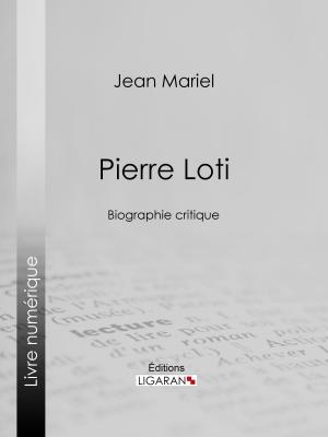 Cover of the book Pierre Loti by Théophile Gautier, Ligaran