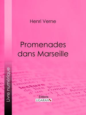 Cover of the book Promenades dans Marseille by Bibliophile Jacob, Édouard Fournier, Ferdinand Seré, Ligaran