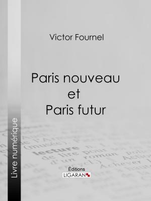 Book cover of Paris nouveau et Paris futur