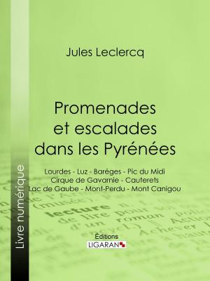 Cover of the book Promenades et escalades dans les Pyrénées by Jules Verne, Édouard Riou, Pierre-Jules Hetzel
