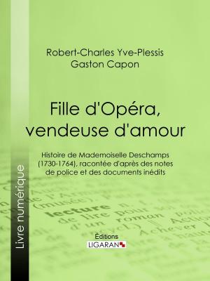 Cover of the book Fille d'Opéra, vendeuse d'amour by Paul Sébillot, Ligaran
