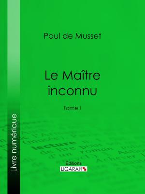 Cover of the book Le Maître inconnu by Henri Beraldi, Ligaran